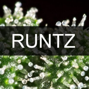 RUNTZ BREED LINE